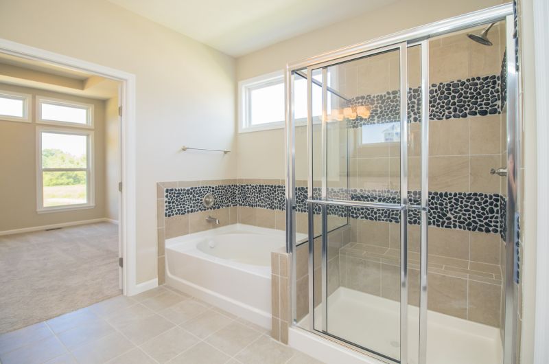 Stylish Shower Designs